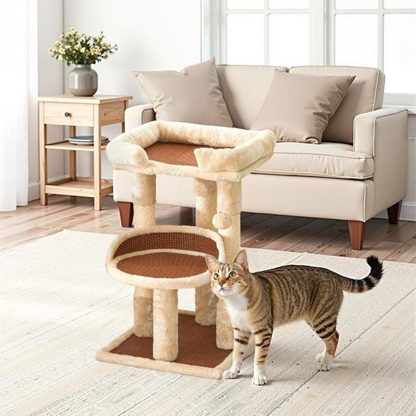 27 Cat Tree for Large Cats, Double Beds